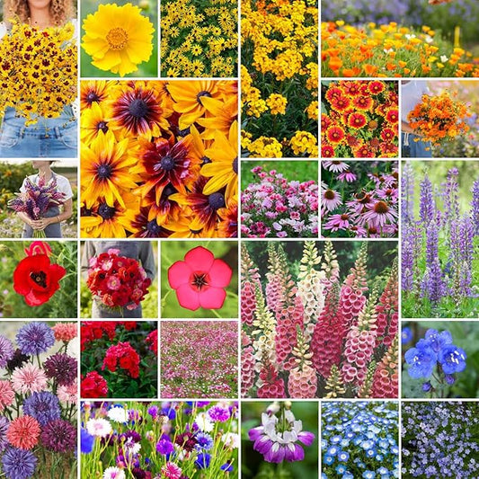 Eden Brothers Pacific Northwest Wildflower Mixed Seeds for Planting, 50 lb, 24,000,000+ Seeds with Cornflower, CA Bluebell, Attracts Pollinators, Plant in Spring or Fall, Zones 3, 4, 5, 6, 7, 8, 9, 10