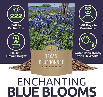 Bulk Texas Bluebonnet Wildflower Seeds - 5 Pounds - Over 80,000 Native Seeds - Texas State Flower!