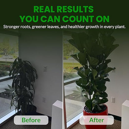 Humboldts Secret Everything Indoor Plant Food | 3-3-3 All Purpose Liquid Fertilizer with Norwegian Kelp | Supports Growth and Strong Roots | Nutrients for Houseplants & Indoor Plants | 8 Ounce