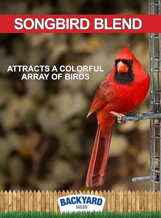 CountryMax Backyard Seeds Songbird Blend Bird Seed Great Variety (14 Pounds)