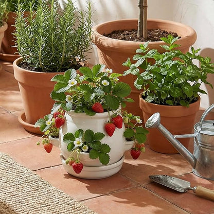 MyGift White Ceramic Plant Pot, Flower Strawberry Planter with Saucer and 4 Decorative Side Openings Design