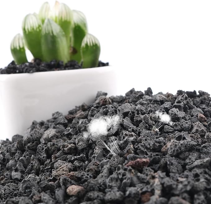 10LB Black Lava Rocks for Plant Gravel Pebbles for Bonsai Succulent Potting Soil, Top Dressing and Terrarium Plants
