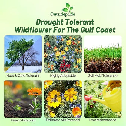 Outsidepride Gulf Coast Wildflower Seed Mix - 5 lbs Perennial & Annual Wild Flowers for Full Sun & Partial Shade - Ideal for Pollinator Gardens & Vibrant Landscapes for Southern Florida & Texas