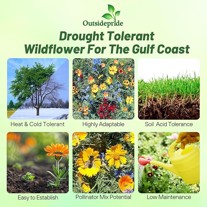 Outsidepride Gulf Coast Wildflower Seed Mix - 1/4 lb Perennial & Annual Wild Flowers for Full Sun & Partial Shade - Ideal for Pollinator Gardens & Vibrant Landscapes for Southern Florida & Texas