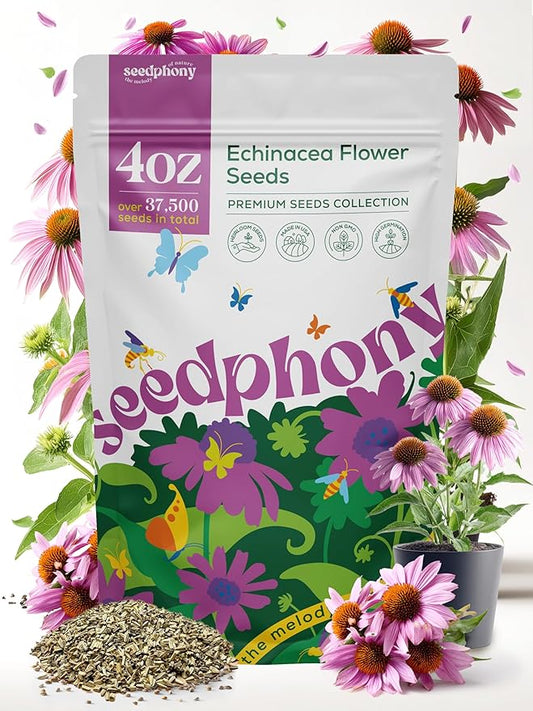 Echinacea Seed Pack 4 oz - 37,500 Non-GMO Heirloom Echinacea Seeds for Planting, Perennial Flowers in Waterproof Seed Packet, Coneflower Seeds for Planting Garden Indoor & Outdoor Gardening