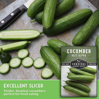 Beit Alpha Cucumber Seeds for Planting | Crisp Burpless Variety with Smooth Skin – Heirloom, Non‑GMO – Survival Garden Seeds (3 Packs)