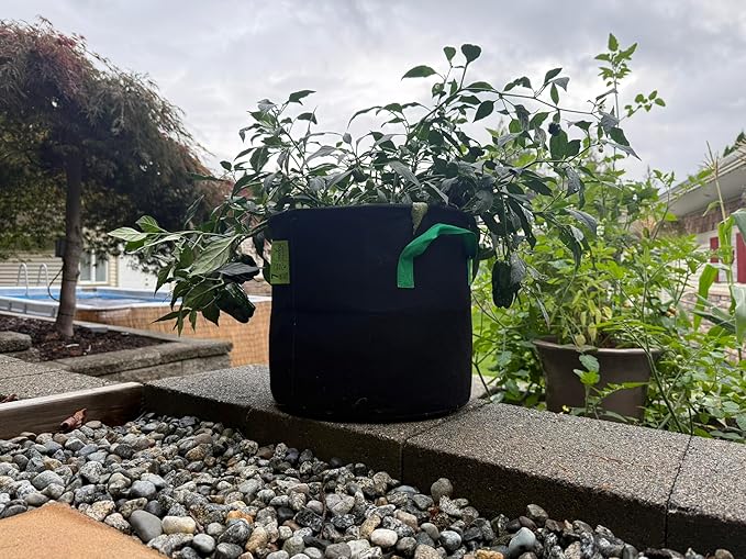 Seeding Square Fabric Grow Bags (7 Gallon) – Durable, Reusable Air-Pruning Plant Pots for Vegetables, Fruits & Herbs – Eco-Friendly Breathable Planter Bags for Healthy Roots & Bigger Harvests