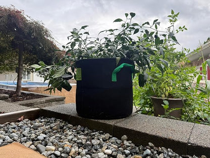 Seeding Square Fabric Grow Bags (7 Gallon) – Durable, Reusable Air-Pruning Plant Pots for Vegetables, Fruits & Herbs – Eco-Friendly Breathable Planter Bags for Healthy Roots & Bigger Harvests