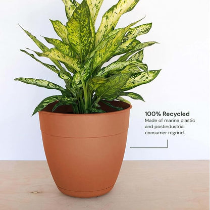 Bloem Dayton 12" Terra Cotta Recyled Plastic Planter Pot with Drainage Holes and Removable Saucer for Indoor and Outdoor Gardening