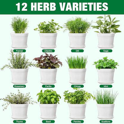 12 Herb Garden Kit Indoor - 42 Pcs Complete Kitchen Window Herbs Seeds Growing Starter Set Kit Gardening Gift Birthday Housewarming Christmas Gift for Women Her Mom Men Home Chefs Gardener Beginner