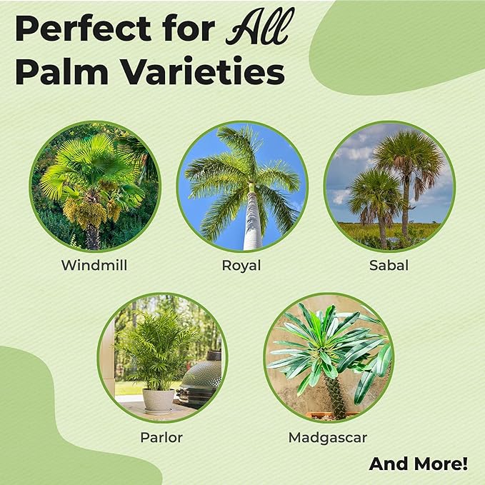 Liquid Palm Tree Fertilizer by Perfect Plants | Feed All Indoor or Outdoor Palms with Nutrient Dense Food | for Species Including Windmill, Sago, Ponytail, Majesty, & More | NPK 8-8-8 (1 Qt)