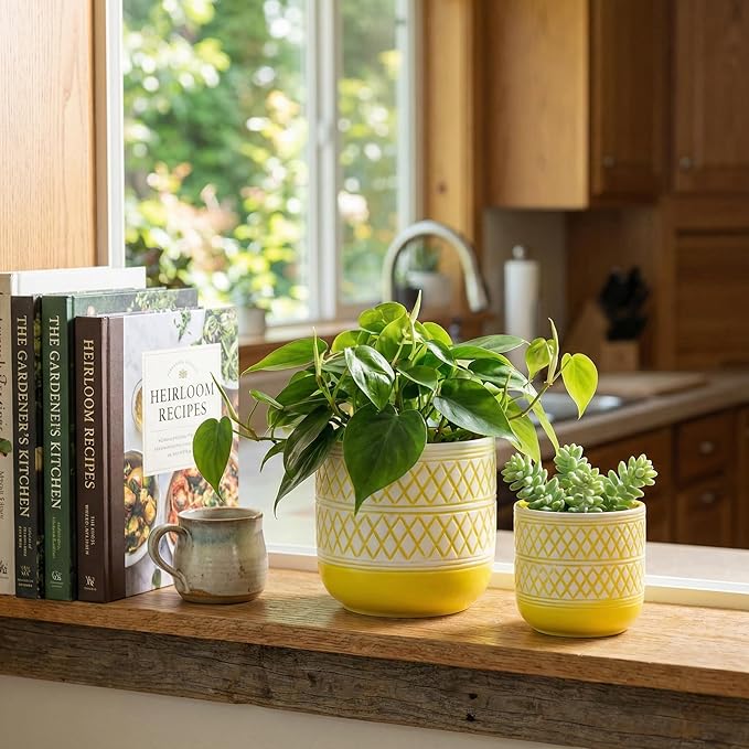 Decorative Ceramic Flower Pots Set of 2 – 6 & 4.7 Inch Indoor Plant Pots, Boho Decorative Pots for Plants, Orchid & Succulent Planters with Drainage