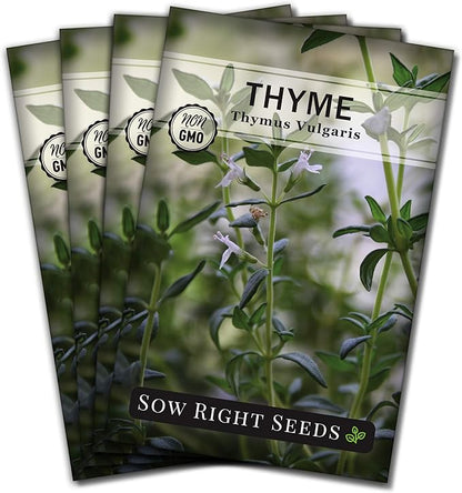 Sow Right Seeds - Thyme Seed for Planting - Non-GMO Heirloom Packet with Instructions for Easy Planting Your Kitchen Herb Garden - Indoor or Outdoor - Great for Hydroponics Growing - Culinary Herb (4)