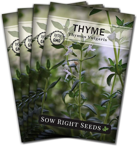Sow Right Seeds - Thyme Seed for Planting - Non-GMO Heirloom Packet with Instructions for Easy Planting Your Kitchen Herb Garden - Indoor or Outdoor - Great for Hydroponics Growing - Culinary Herb (4)