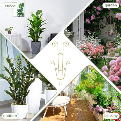 ZOUTOG Trellis for Climbing Plants Indoor 4 Pack 30 Inch,Rustproof Metal Garden Trellis for Potted Plants,Houseplant Support Indoor Outdoor for Ivy Pothos Monstera Hoya Flower Vines(Golden Round)