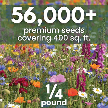 Shade Tolerant Mix – 56,000 Wildflower Seeds for Pollinator Gardens – 2026 Season – 4 Ounce Pouch