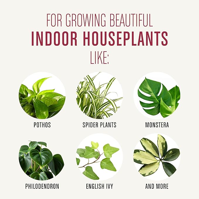 Miracle-GRO Houseplant Potting Mix, for Indoor Container Plants, Feeds for up to Six Months, 4 qt. (3-Pack)