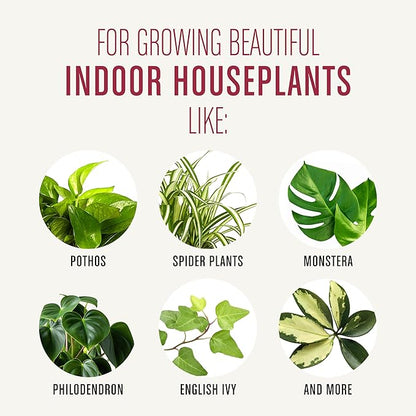 Miracle-GRO Houseplant Potting Mix, for Indoor Container Plants, Feeds for up to Six Months, 4 qt. (3-Pack)
