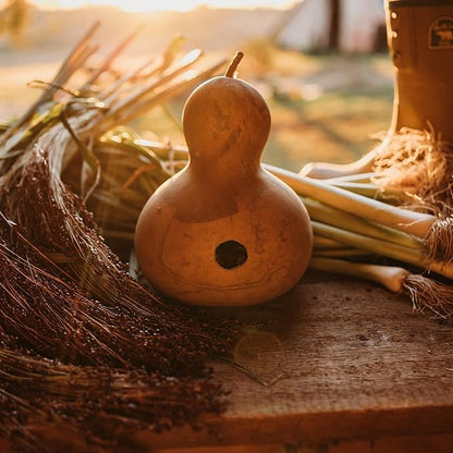 Birdhouse Gourd - 25 Seeds - Heirloom Bottle Gourd Variety, Non-GMO Gourd Seeds for Planting Outdoors in The Home Garden, Thresh Seed Company