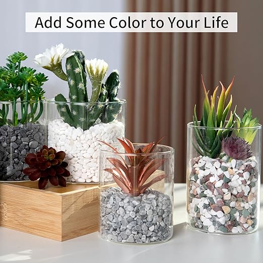 2 Pounds Natural Pea Gravel Pebbles for Plants,1/5 Inch Small Rocks for Succulents and Cactus,Terrarium,Vase,Fish Tank Gravel,Decorative Pebbles for Indoor Plants,Landscape Stones (Mixed)