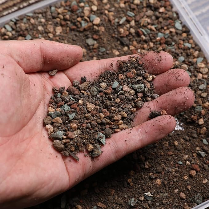 Succulent and Cactus Soil Potting Mix 2.2 LBS, Bonsai Soil Mix Ready to Use, Fast Draining with Added Nutrients