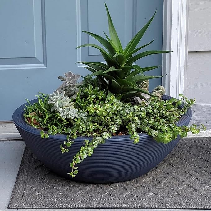 Crescent Garden Delano Bowl Planter, Indoor Outdoor Round Shallow Plant Pot for Water Garden, Bonsai Plant Pots, Succulents with Drain Hole - Double Walled Bowl Lotus Pot, 16" W (Mocha)