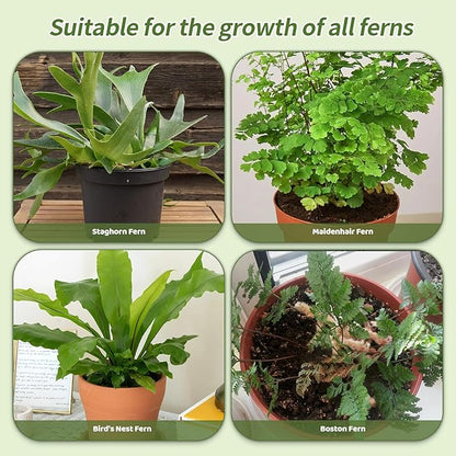 Potting Soil Mix for Fern 10qt, Custom Hand Blended Mixture Suitable for Indoor/Outdoor Potted Fern Plant