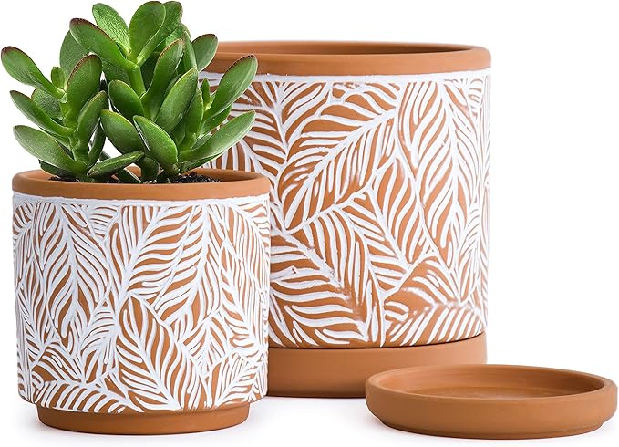 D'vine Dev Set of 2 Terracotta Pots, Leaf Pattern Planter Pot, 4 Inch and 6 Inch, Pot with Drainage Hole and Saucer, Terracotta/White, 31-958-T-1