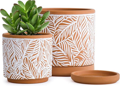 D'vine Dev Set of 2 Terracotta Pots, Leaf Pattern Planter Pot, 4 Inch and 6 Inch, Pot with Drainage Hole and Saucer, Terracotta/White, 31-958-T-1