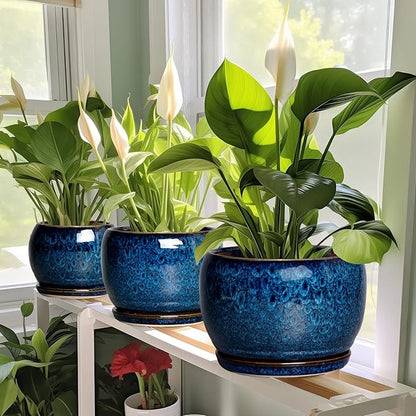SQOWL 10 Inch Plant Pot - Ceramic Planter Pot with Drainage Hole and Saucer, Decorative Plant Pot for Indoor Outdoor Plants, Round Large Planter Flower Pot, Blue