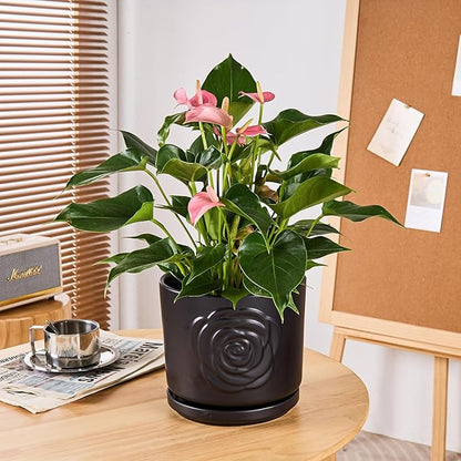 Ekirlin 7 inch Plant Pots,Ceramic Rose Flower Planters Indoor,Modern Succulents Containers with Drain Hole Saucer,Weatherproof Pot for Decorate Home,Office & Outdoor (Black)