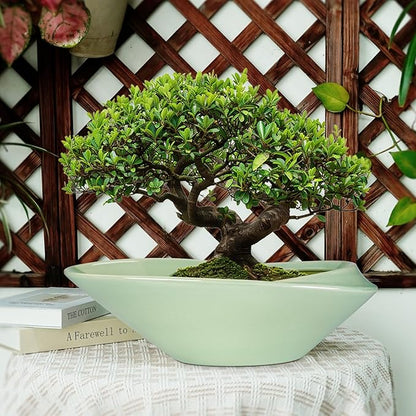 Ceramic Bonsai Pot - 18 Inch Planter with Drainage Hole Large Modern Bonsai Planter Decorative Succulent Flower Plant Pot for Indoor Plants Outdoor Green