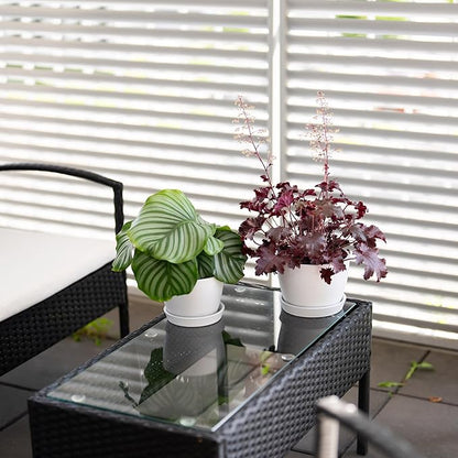 UNBREAKABLE Plant Pots Set of 2, Advanced Eco-Poly Planters with Drainage & Saucers, 6.5" + 5.5" Plastic Pots - Designer Indoor & Outdoor Décor and a Great Gift for Plant Lovers - Ventura Mist White