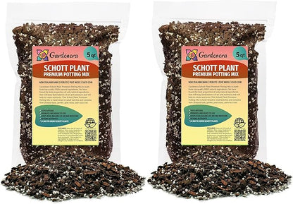 GARDENERA Monstera Lechleriana Schott Planting Mix - Promotes Steady Growth and Healthy Leaves - 10 Quart (2 Bags of 5 Quart)
