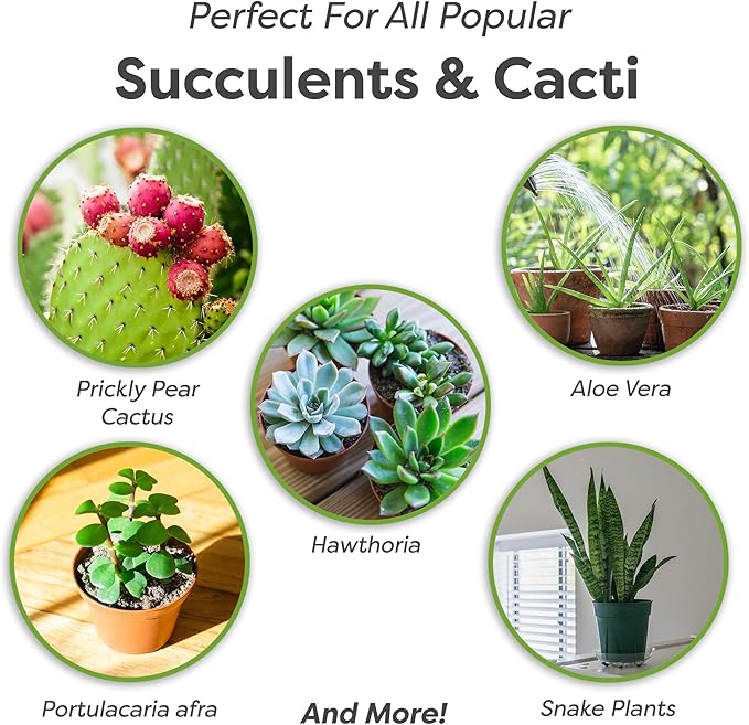 Succulent & Cactus Soil Mix by Perfect Plants (8QTS)