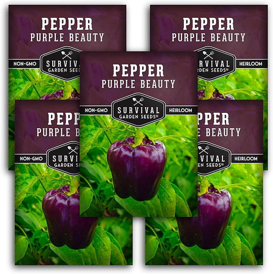 Purple Beauty Bell Pepper Seeds for Planting | Heirloom Sweet Purple Bell Peppers for Home Gardens – Non-GMO Open-Pollinated – Survival Garden Seeds (5 Packs)