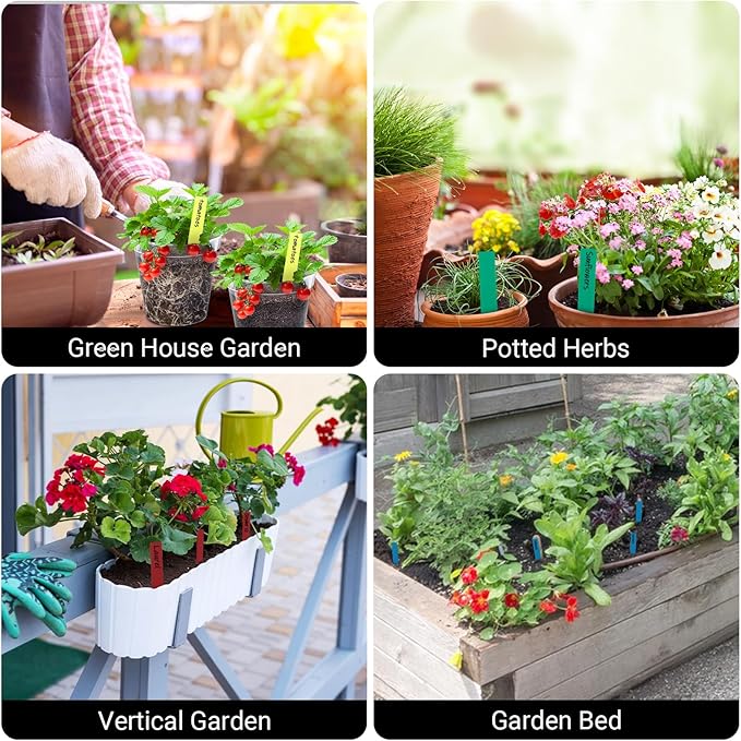 Greaner Plant Identification Stakes, Colorful 100PCS Plant Tags, Plant Markers for Outdoor Plants Waterproof, Plant Label Stakes for Indoor Outdoor plants, Herb Labels with Garden Marker Pen(4 Inches)