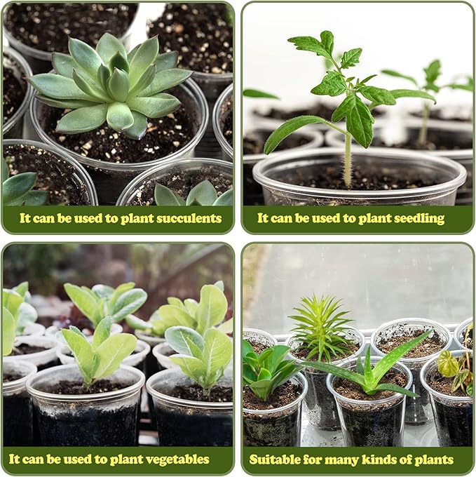 RAOOKIF 6/5/3.5 Inch Clear Nursery Pots with Drainage, 24 Pack Clear Nursery Pots for Plants, Flexible Plastic Garden Flower Pot