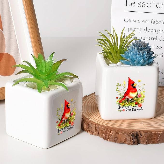 Cardinal Succulent Planter Flower Plant Pot Small, Gifts for Women Teens Girls Kids, Cardinal Lovers Themed Stuff Accessories Things Decor Merch, Home Office Table Desk Decoration!