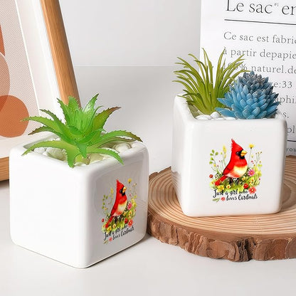 Cardinal Succulent Planter Flower Plant Pot Small, Gifts for Women Teens Girls Kids, Cardinal Lovers Themed Stuff Accessories Things Decor Merch, Home Office Table Desk Decoration!