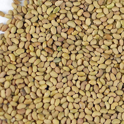 Certified Organic Alfalfa Sprouting Seed- 8 Oz - Handy Pantry Brand - High Sprout Germination- Edible Seeds, Gardening, Hydroponics, Growing Salad Sprouts, Planting, Food Storage & More