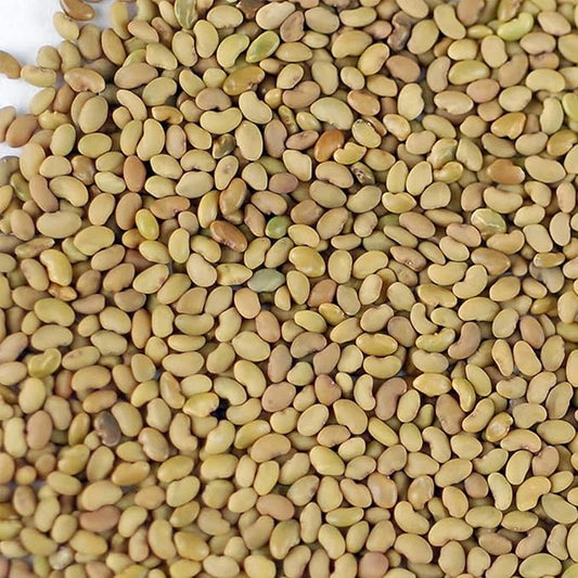 Certified Organic Alfalfa Sprouting Seed- 8 Oz - Handy Pantry Brand - High Sprout Germination- Edible Seeds, Gardening, Hydroponics, Growing Salad Sprouts, Planting, Food Storage & More