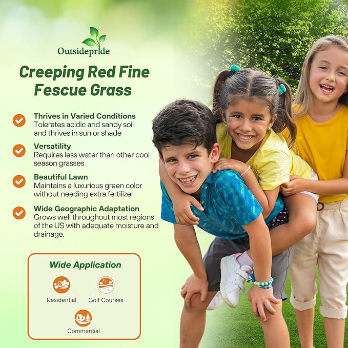 Outsidepride Creeping Red Fescue Grass Seed - 25 Lbs. Cool Season, Soft Textured, Self-Repairing Fine Fescue Grass Seeds for Lawn w/OptiGrowth Coating, Ideal for Dryland Cover Crop & Landscaping