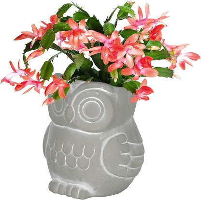 Classic Home and Garden Cement Buddies Animal Planters - Cute Desk Decoration - UV Coated Animal Vase w/Removable Drain Plug - Succulent Plant Pot for Indoor/Outdoor (Owl Planter, Natural, Large)