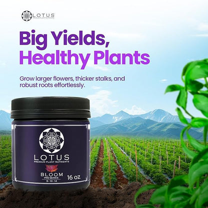 Bloom Pro Series - Hydroponic Plant Nutrients and Fertilizer, Water Soluble Plant Food, for Coco Coir Hydro and Soil, Enhances Flowering and Fruiting, Indoor and Outdoor Grows (16oz)
