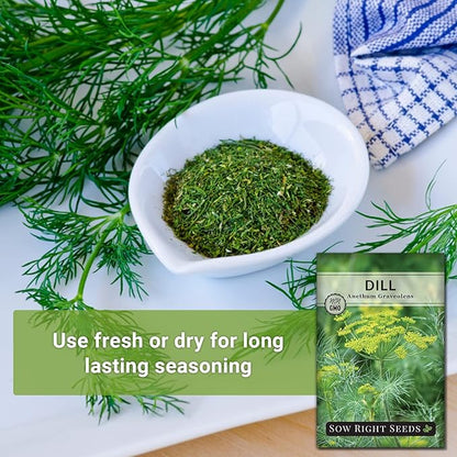 Sow Right Seeds - Dill Seed for Planting - Non-GMO Heirloom Packet with Instructions to Plant and Grow Herb Garden - Indoors or Outdoors - Homemade Dill Pickles - Wonderful Companion Plant (2)