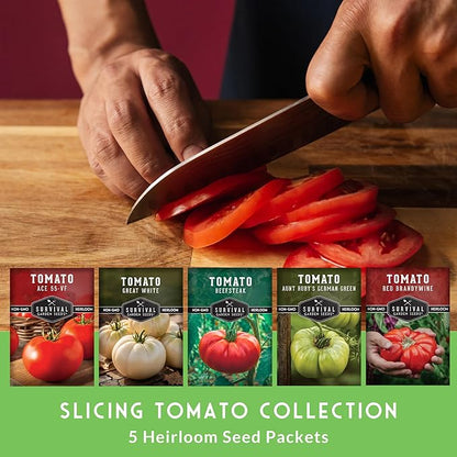 Essential Tomato Seeds 5 Variety Pack for Planting – Classic Heirloom Non-GMO Tomatoes: Cherokee Purple, Roma, Large Red Cherry, Beefsteak, and Great White – Survival Garden Seeds