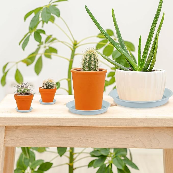 Augshy 18 Piece Plant Tray, 4/6/8/10 inches 4 Sizes Transparent Plastic Flowerpot Tray Heavy Plant Drip Tray for Gardens, Balconies and Indoors