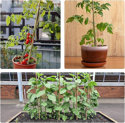 10pcs 1" D Thicker Heavy Duty Bamboo Stakes, 8FT Plant Stakes, Natural Garden Stakes for Tomato, Bean, Flowers,Trees Potted and Climbing Plant Support