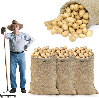 ANPHSIN 4Pcs Breathable Natural Burlap Bags - 24"x40" Reusable Thicken Jute Potato Onion Food Storage Sacks with Rope